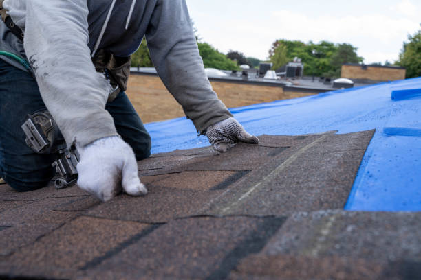 Best Roof Leak Repair  in Park City, UT